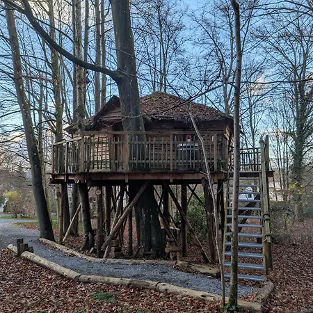 B&B Le Bois Dormant-2